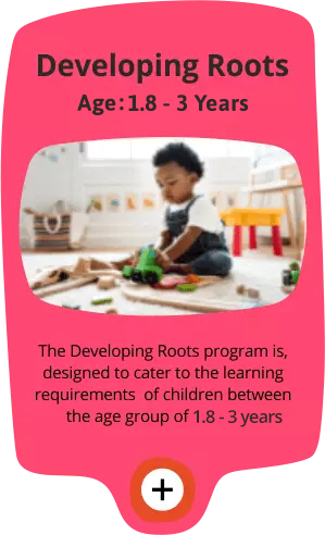 developing_roots Little milenium